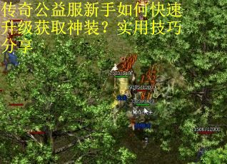 传奇公益服新手如何快速升级获取神装?实用技巧分享