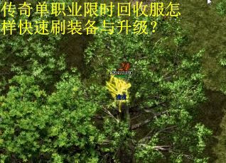 传奇单职业限时回收服怎样快速刷装备与升级？