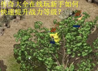 传奇大全在线玩新手如何快速提升战力等级？