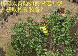 传奇大冒险如何快速升级并获取稀有装备?