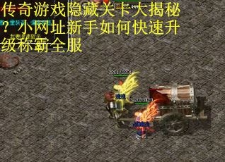 传奇游戏隐藏关卡大揭秘？小网址新手如何快速升级称霸全服