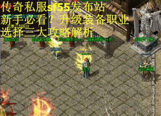 传奇私服sf55发布站新手必看？升级装备职业选择三大攻略解析